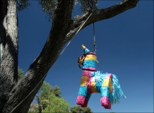 Viva_Piñata