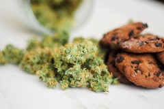 cannabis-cookies-munchies