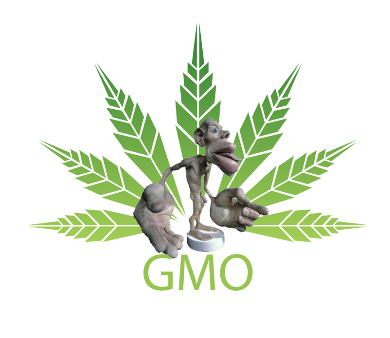 gmo logo