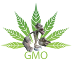 gmo small