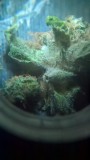 WP_20200930_04_35_36_Pro (2)