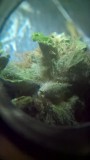 WP_20200930_04_35_23_Pro (2)