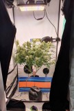 20201004_152440
