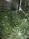 IMG_20201009_205324