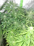 20201009_210617_compress63