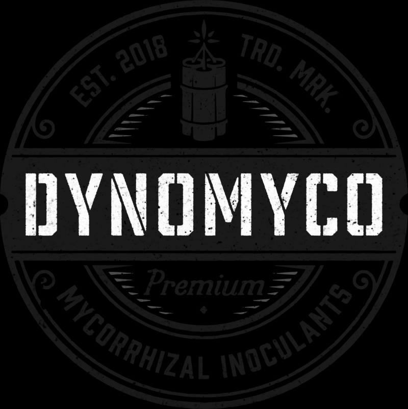 Main_logo (1)