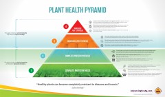 Plant Health Pyramid Complete Infographic