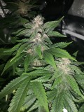 IMG_20201015_211036