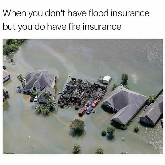 what-kind-of-insurance-do-you-have