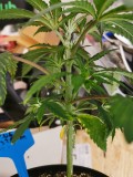 IMG_20201018_163543