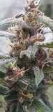 20201020_173150