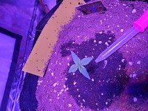 20201023_064420