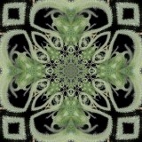 81392_mirror2_resize_34