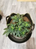 IMG_20201026_155141