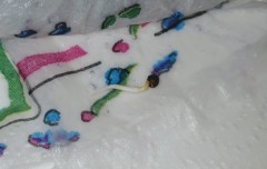 germinating paper
