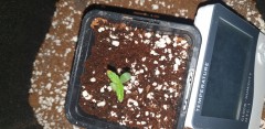 20201026_075036