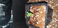 20201028_090258