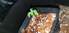 20201028_090305
