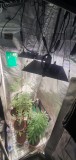 20201031_155845