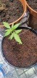 20201031_155926(0)