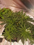 IMG_20201031_103437