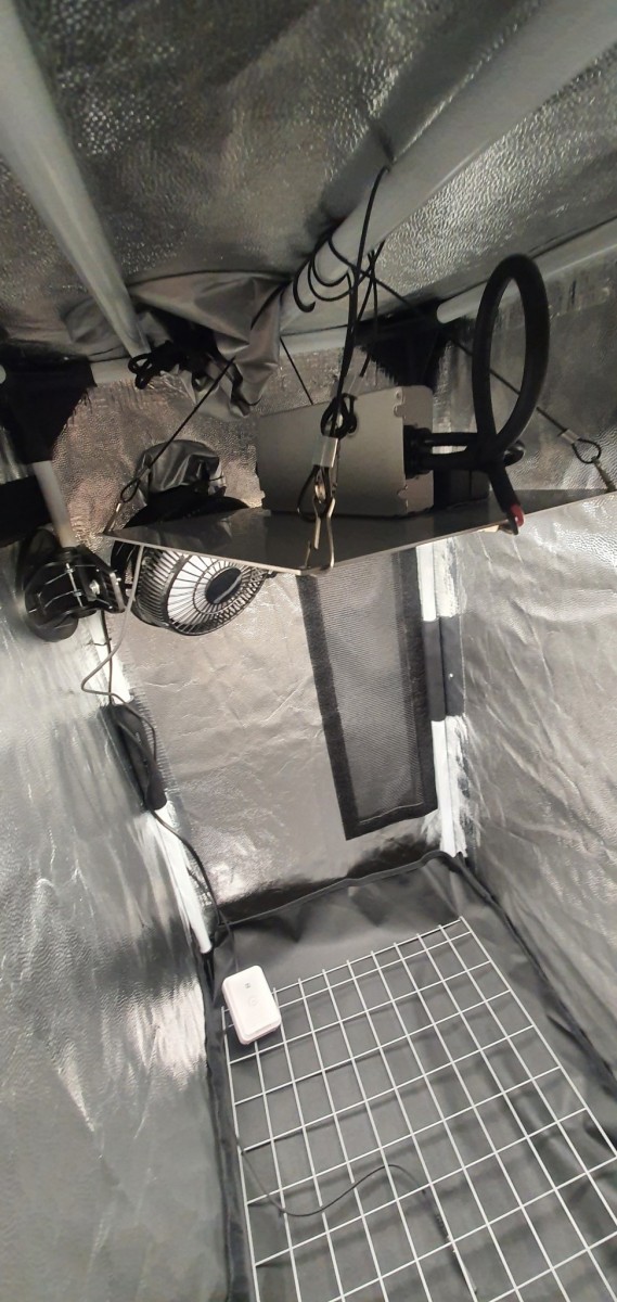 20201105_083040