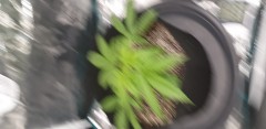 20201113_083114