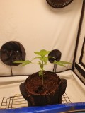 20201113_133520