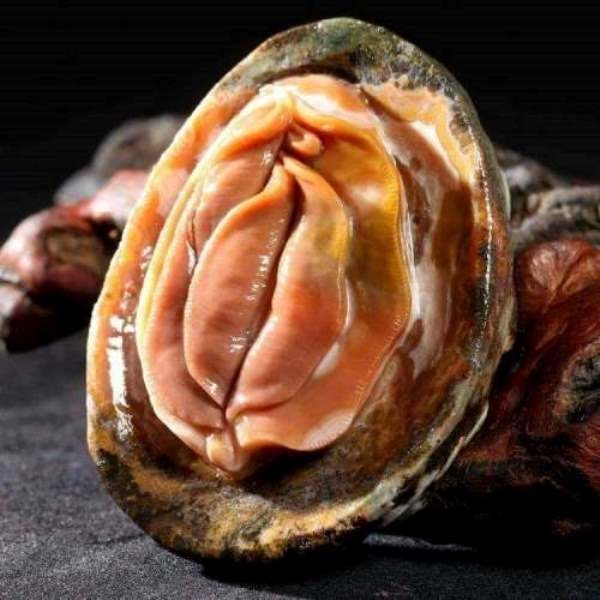 oystersex-1