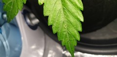 20201122_113338