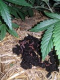 IMG_20201009_135631
