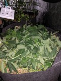 IMG_20201029_222510