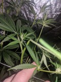 IMG_20201106_202705