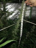 53B7B134-D163-4DDC-BC3C-32DAC59A50EB