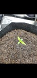 Screenshot_20201125-172340_Gallery