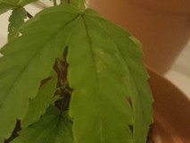 20180923_084713