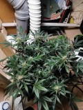 IMG_20201129_161858