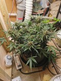 IMG_20201206_130520