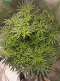 IMG_20201206_130844