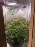IMG_20201206_130924