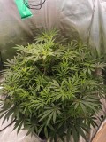 IMG_20201206_130957