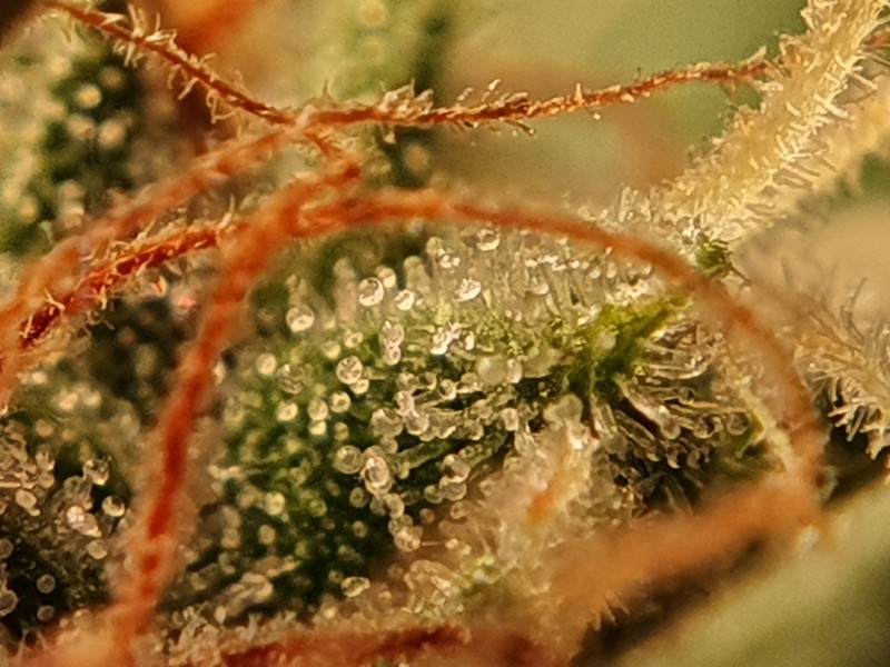 20201206_182407