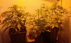 IMG_20201206_202318_edit