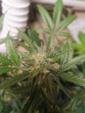 IMG_20201209_212238