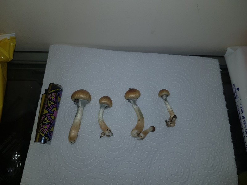 20201213_204445