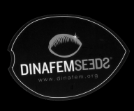 Mn dinafem seeds white Og