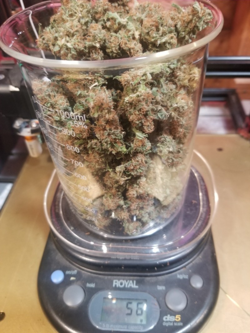 20201123_zkittles