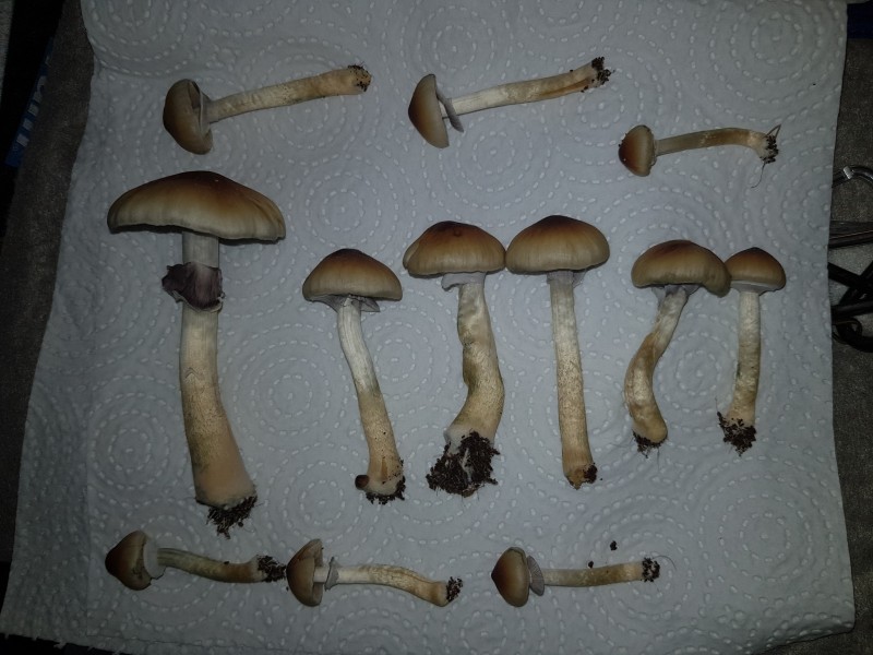 20201217_113245