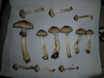 20201217_113245