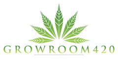 Mn size drop Groomroom420- green